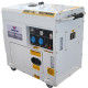 Walton Robust D6500E Diesel Generator